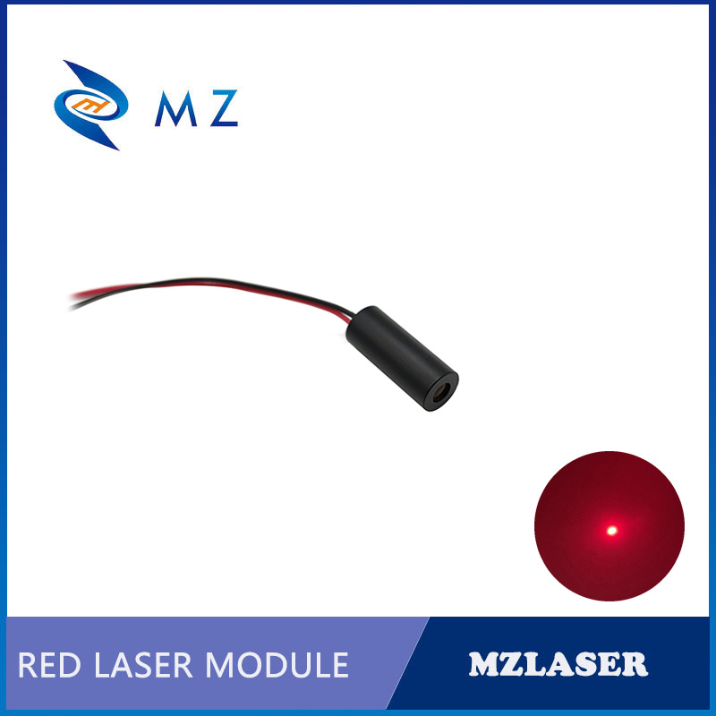 Módulo de Diodo Láser Compacto - Industrial Grade Laser Pointer reseña y precio