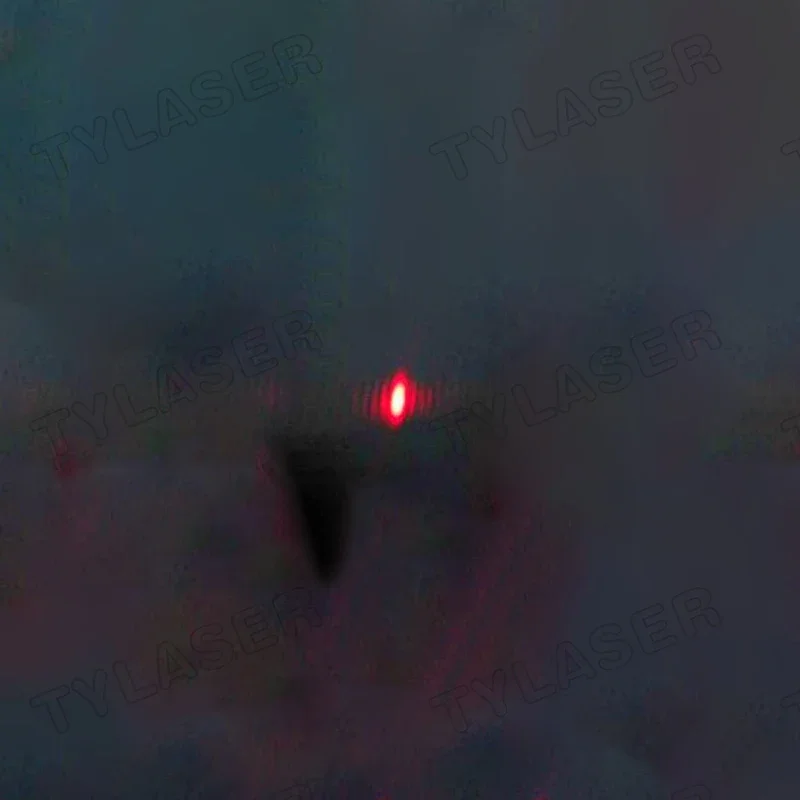Módulo Láser Externo TTL de 8  - Industrial Grade Laser Pointer reseña y precio